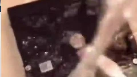 reading memes part 3