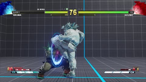 Street Fighter V
