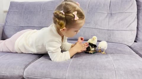 Baby_Girl_Feeding_Baby_Chicks!_