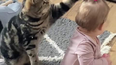 Cat and baby funny