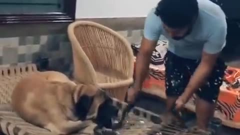 heart touching video (tiktok viral video)
