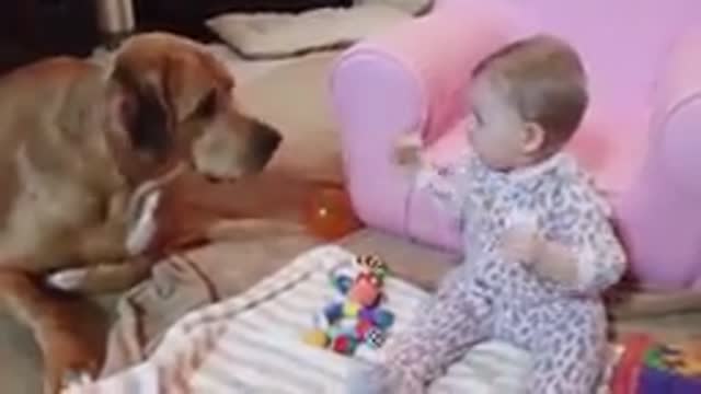 Cute puppies with children