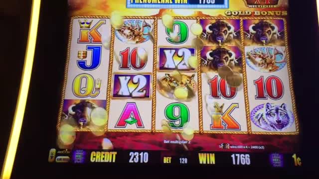 How to play Buffalo gold slots.