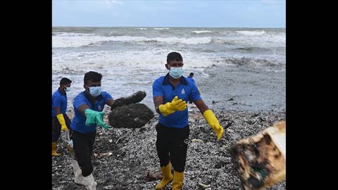 Sri Lanka ship fire fatal to marine life