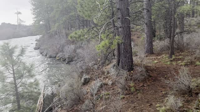 Inclement Weather Hiking on Deschutes River Trail – Central Oregon – 4K