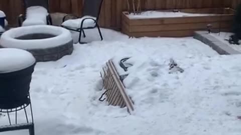 SNOWFALL MONDAY 12/23/24