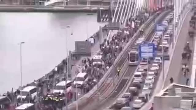Porti Italiani chiamano e porto di Rotterdam risponde - Il porto più grande d' Europa