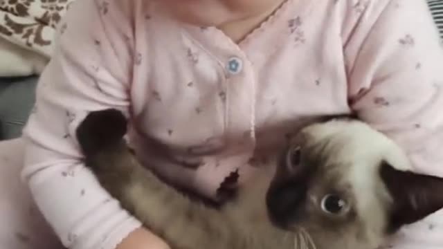 Cat Playing With Baby