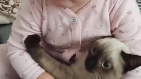 Cat Playing With Baby