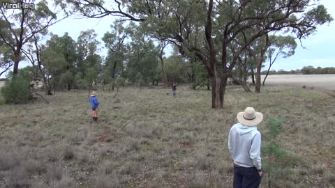 Man Punches a Kangaroo in the Face to Rescue His Dog