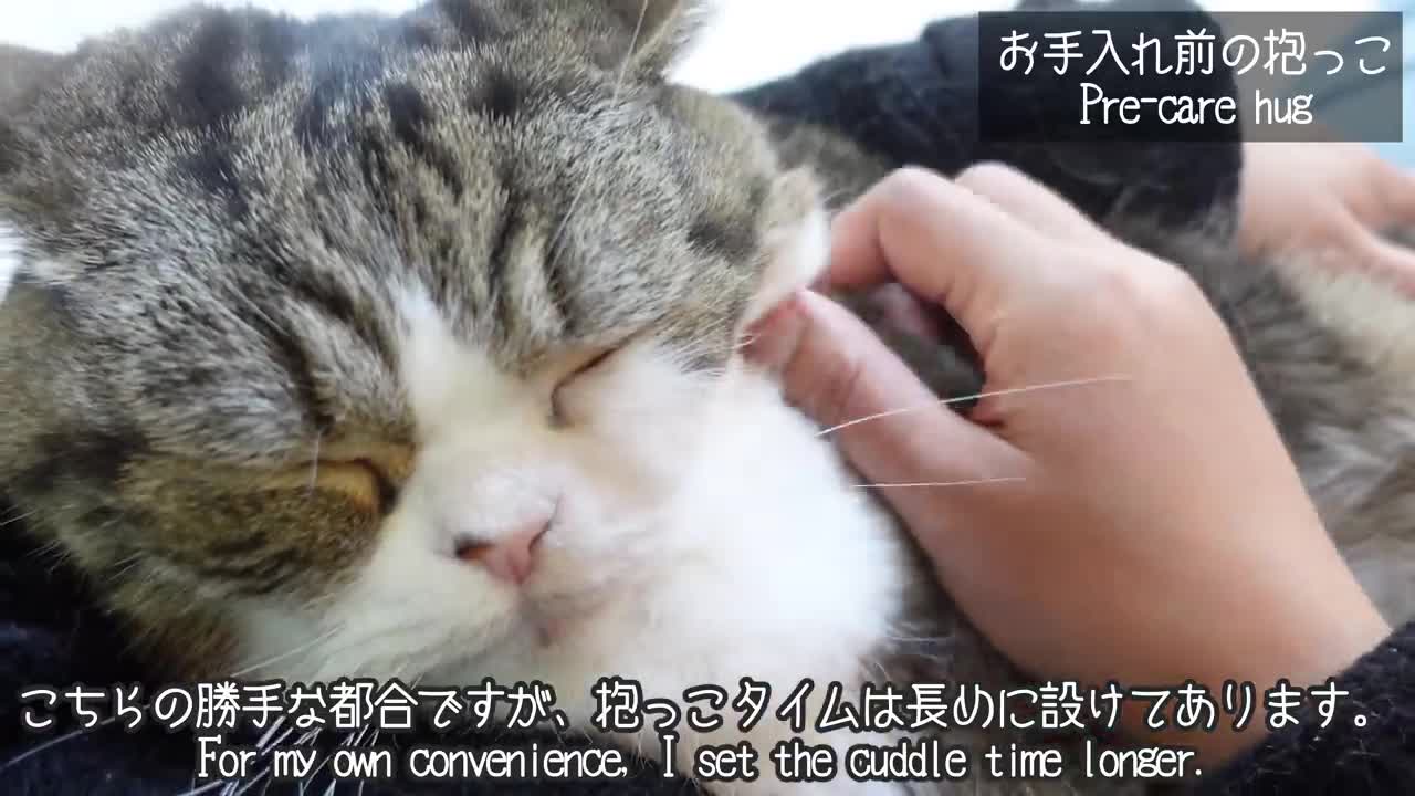 Maru's Morning Routine