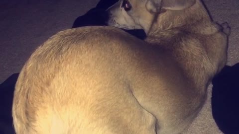 Netflix and Chill
