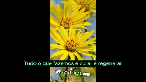 Como os Rockefellers tiraram fundos da cura natural, das parteiras e mudaram tudo no futuro,