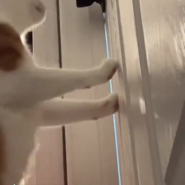 Late night shenanigans