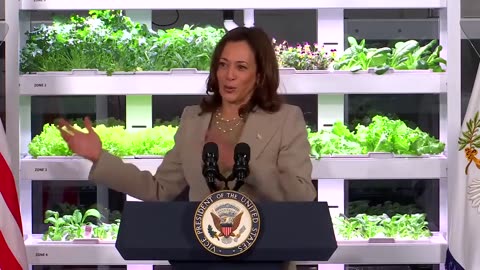 Kamala Harris: Small Business Owners / Entrepreneurs / Small Business Owners