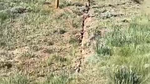 The fault line is cracking near Yellowstone.