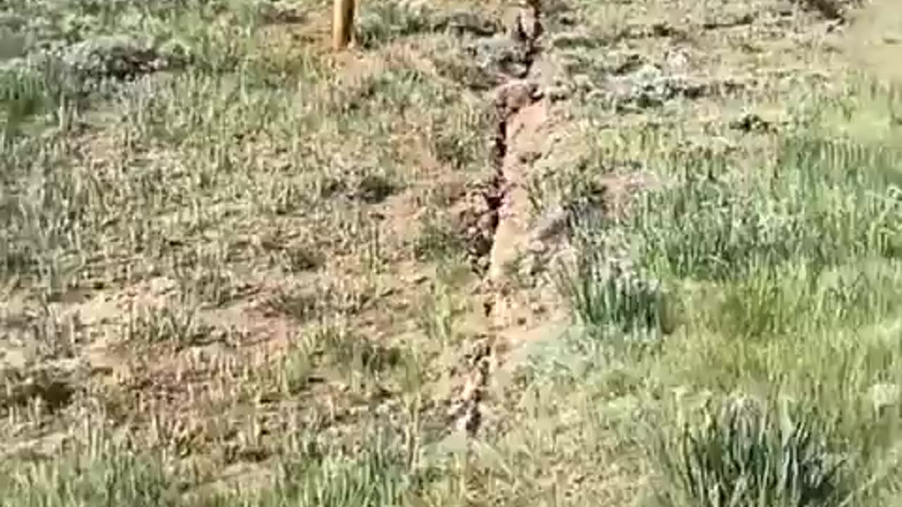 The fault line is cracking near Yellowstone.