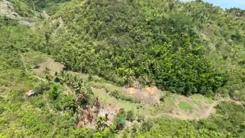Badian Zipline Adventure in Moalboal, Philippines