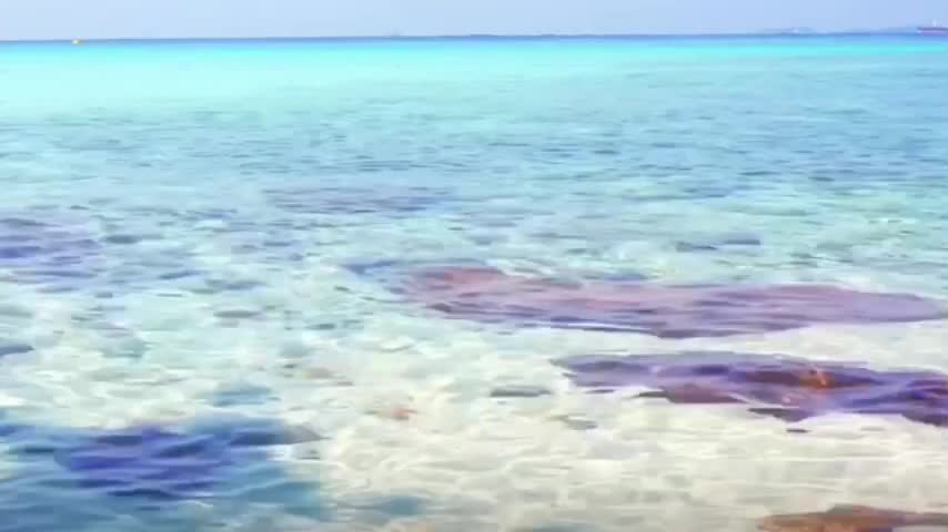 Do you want to go swimming in this water