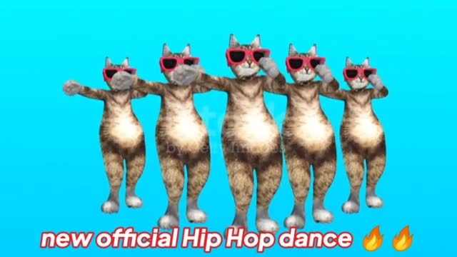 Comic Pussycat Moves in Stylish Rhythm stock video USA, Dancing, Domestic Cat, Cartoon