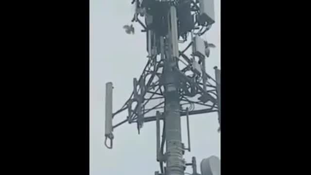 il disastro delle antenne 5g certificato dal video
