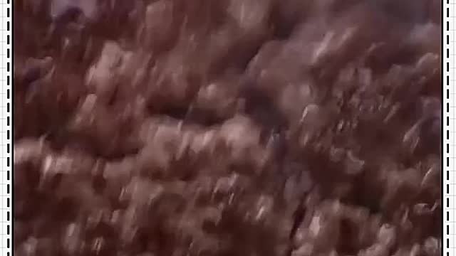 Beef burger