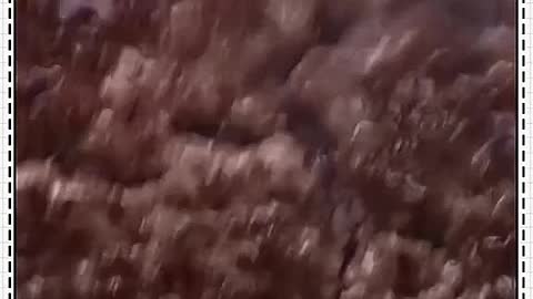 Beef burger