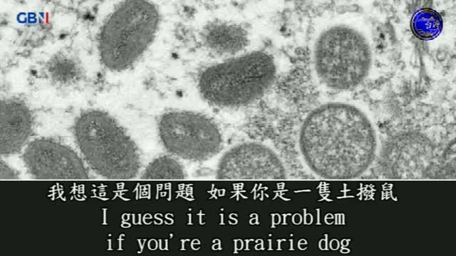 猴痘:致力於 mRNA 疫苗開發的病毒學家『羅伯特·馬龍博士』與 奈傑爾·法拉奇交談👇 https://t.co/NDApwOK6Zl