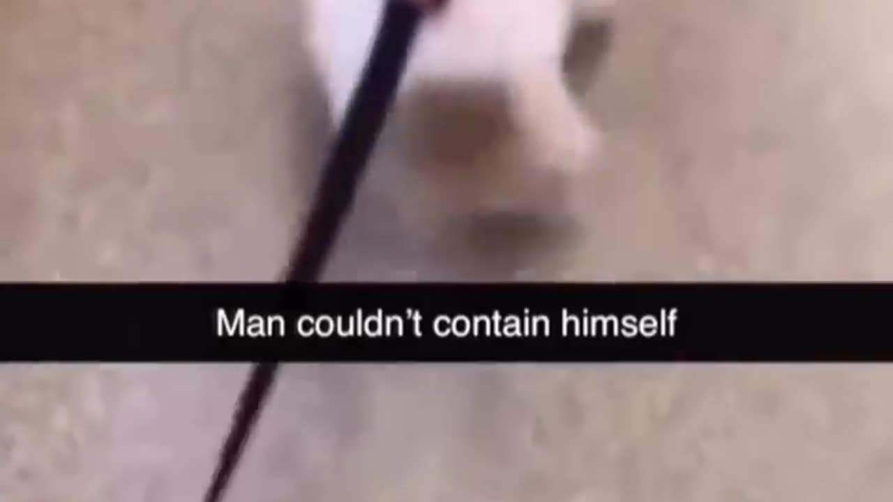 funny new trending video