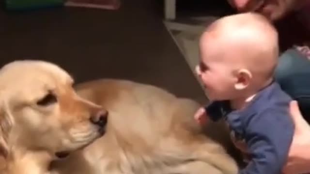 funny cute baby moments with cute puppy #shorts