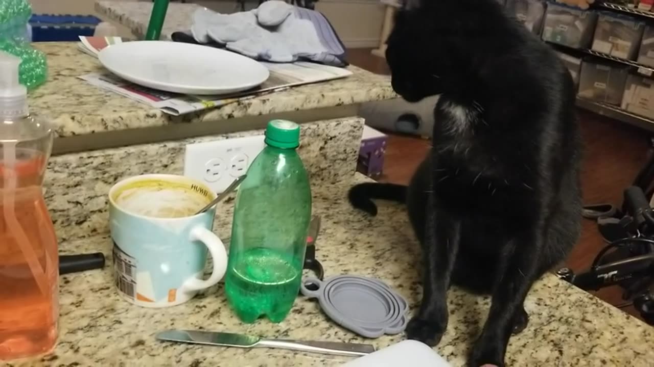 20240803 200243 Tux Parm-Regging