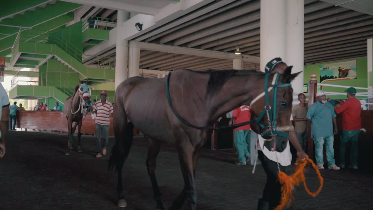 Hipódromo V Centenario: Hipismo con sabor dominicano.