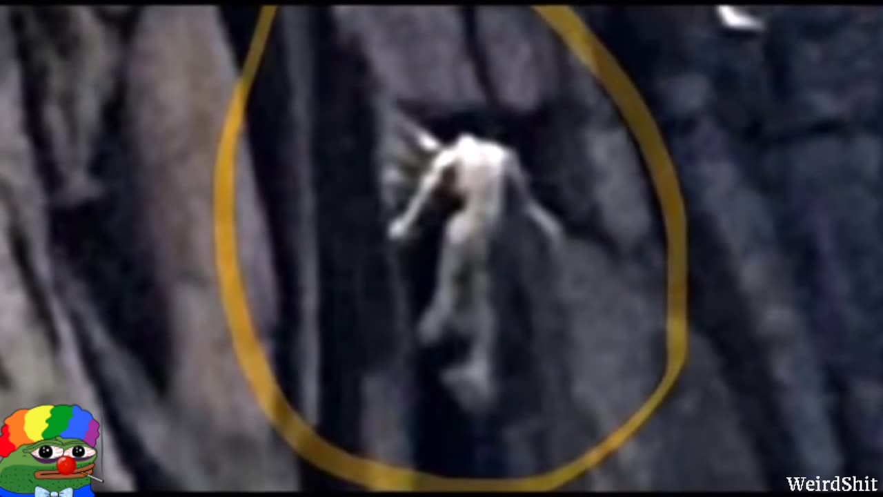 Frightening 20-foot-tall figure seen clinging to the side of Colorado mountain