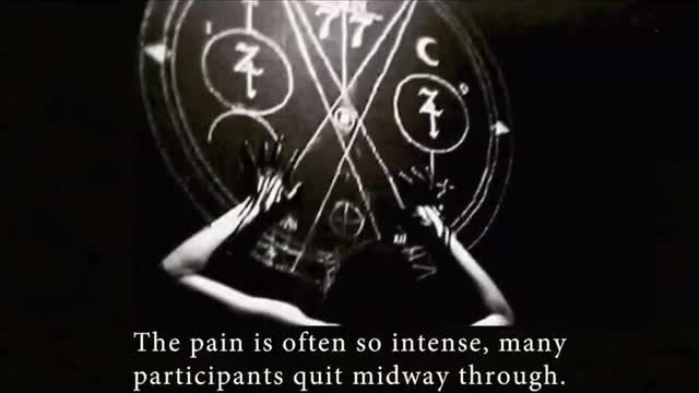 HOLLYWOOD 🔴 NOT FOR CHILDREN ⚠️