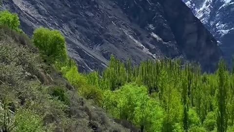 Snowfall on Gilgit Baltistan Mountains