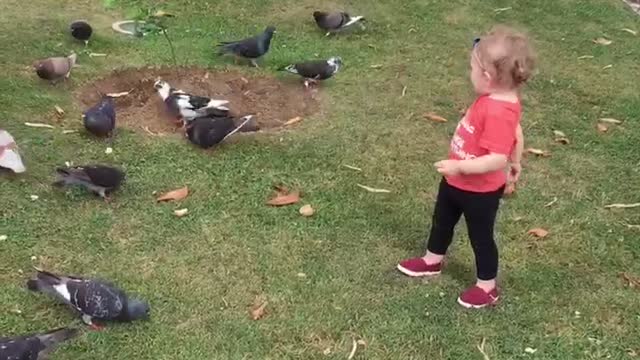 A day at the park on the Azores islands