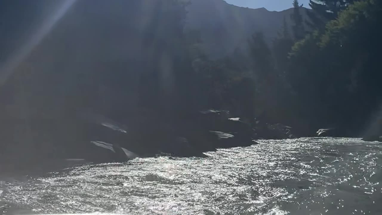 DIYNO 361Jet Uphill Upper Shotover River