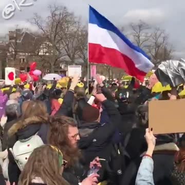 Van Gogh Museum, Dutch anti-lockdown protesters.