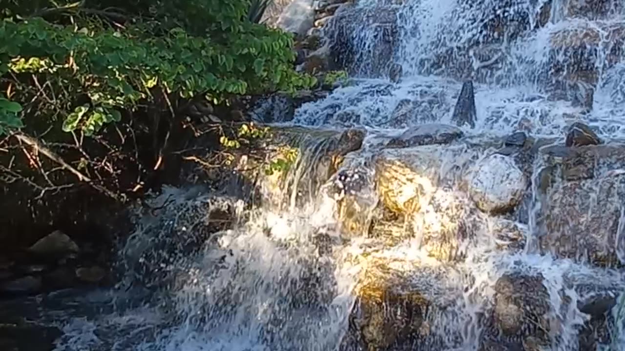 Beautiful waterfall in the garden