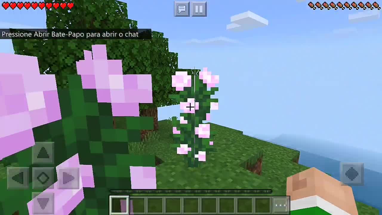 Minecraft: If I hit the video it ends.