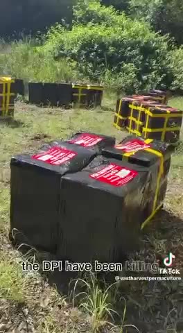 🇦🇺 WEF working overtime in Australia