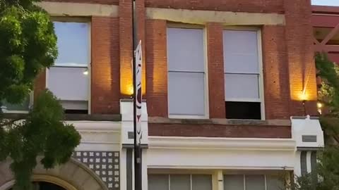 Scared Dog at Window
