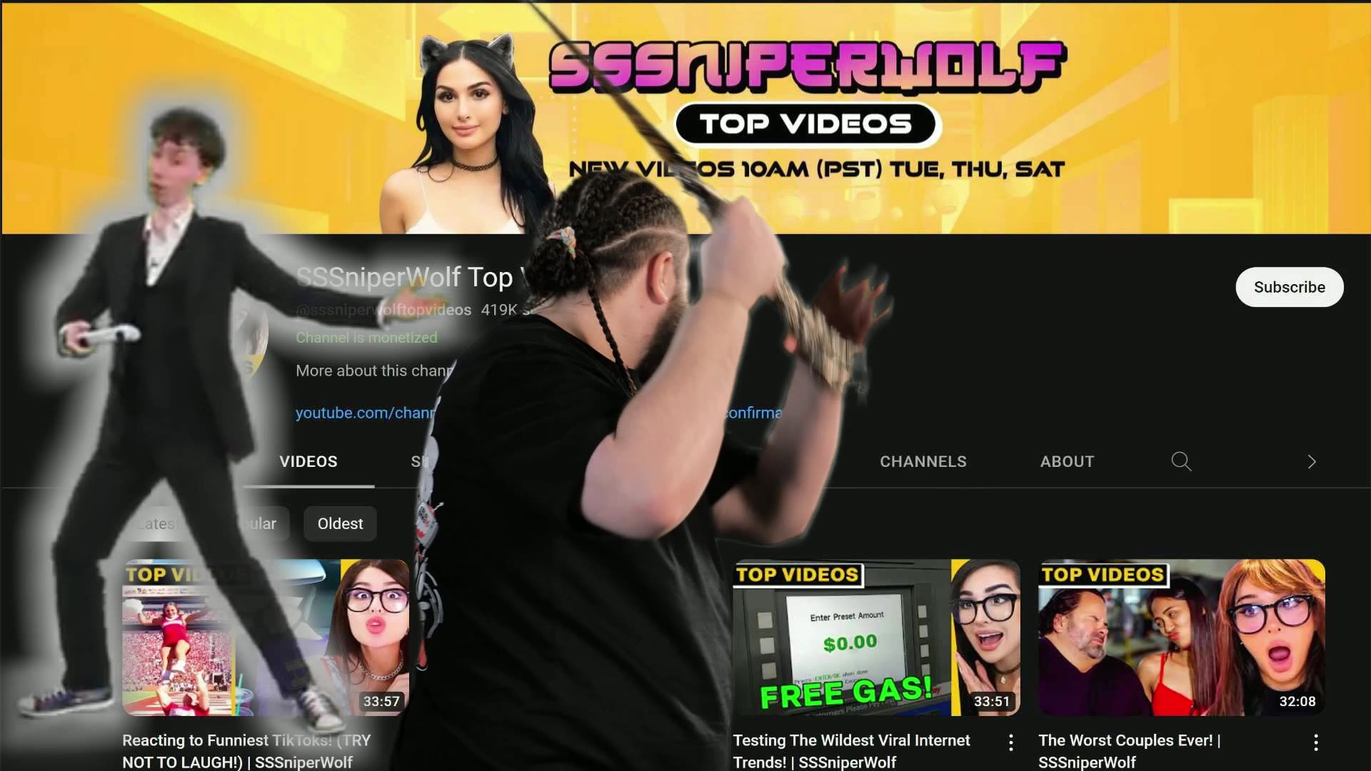 Meme What Everyone Wishes Would Happen To Sssniperwolf