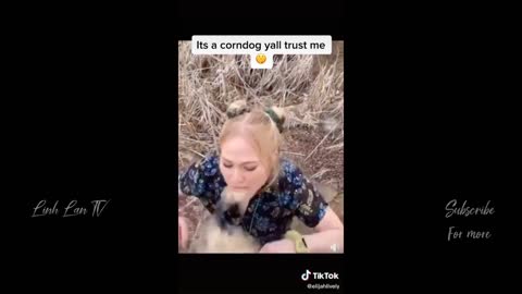 Compilation Des Moments Les Plus Drôles de l'année 😆🔥🐷