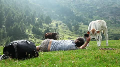 Backpacker filming a calf in a valley