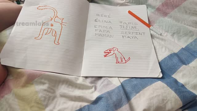 2022-05-16 (3) - coïncidences ? - Twitch