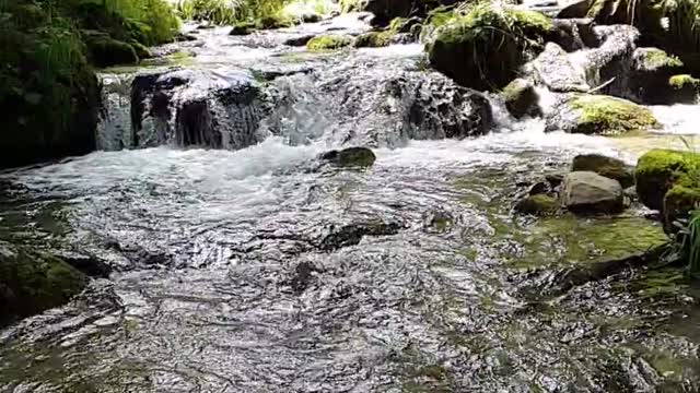 Slow Motion Footage Of Water Pouring Down On Rocky River In The Woods