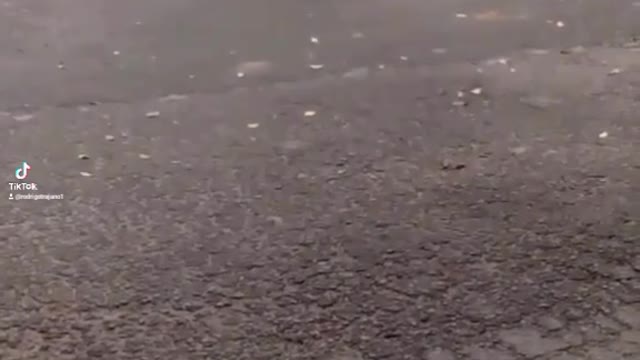 Vamos brincar de bolinha