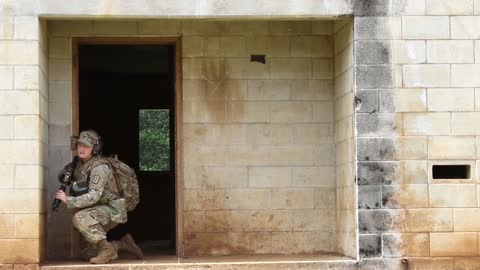 Military Dog working with U.S Army