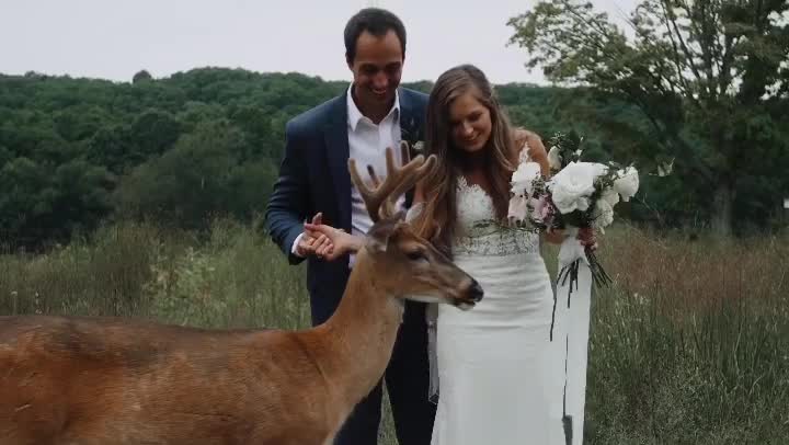 This wedding has made national news thanks to this deer